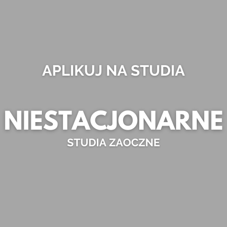 niestacjonarne_grey.png