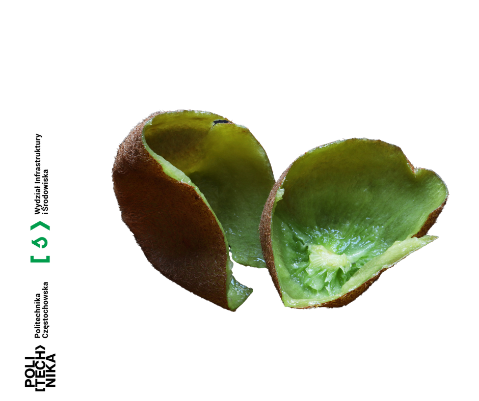 skorki_kiwi.png