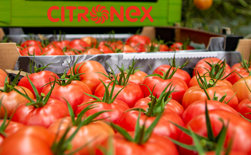 Z wizytą w Citronex