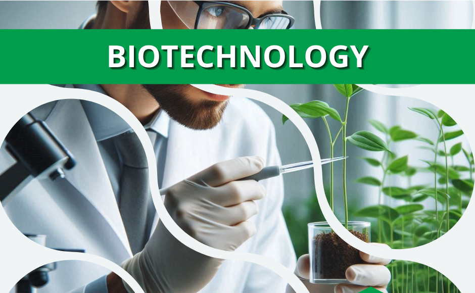 Biotechnology (first-cycle studies)