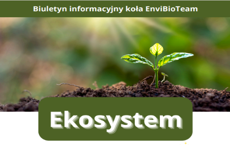 "Ekosystem" Nr 5