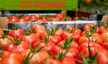 Z wizytą w Citronex