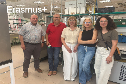 Prof. Agata Rosińska na Uniwersytecie w Jaén w Hiszpanii w ramach Erasmus+