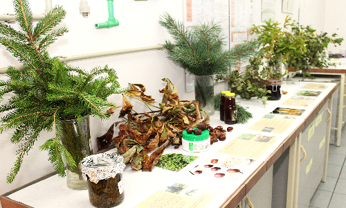 Dzień Drzewa 2025 na Wydziale Infrastruktury i Środowiska Politechniki Częstochowskiej